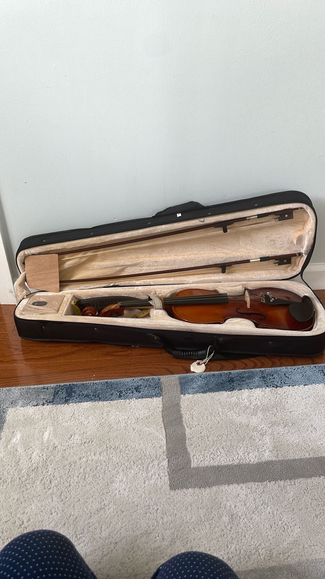 Cecilio Violin 3/4