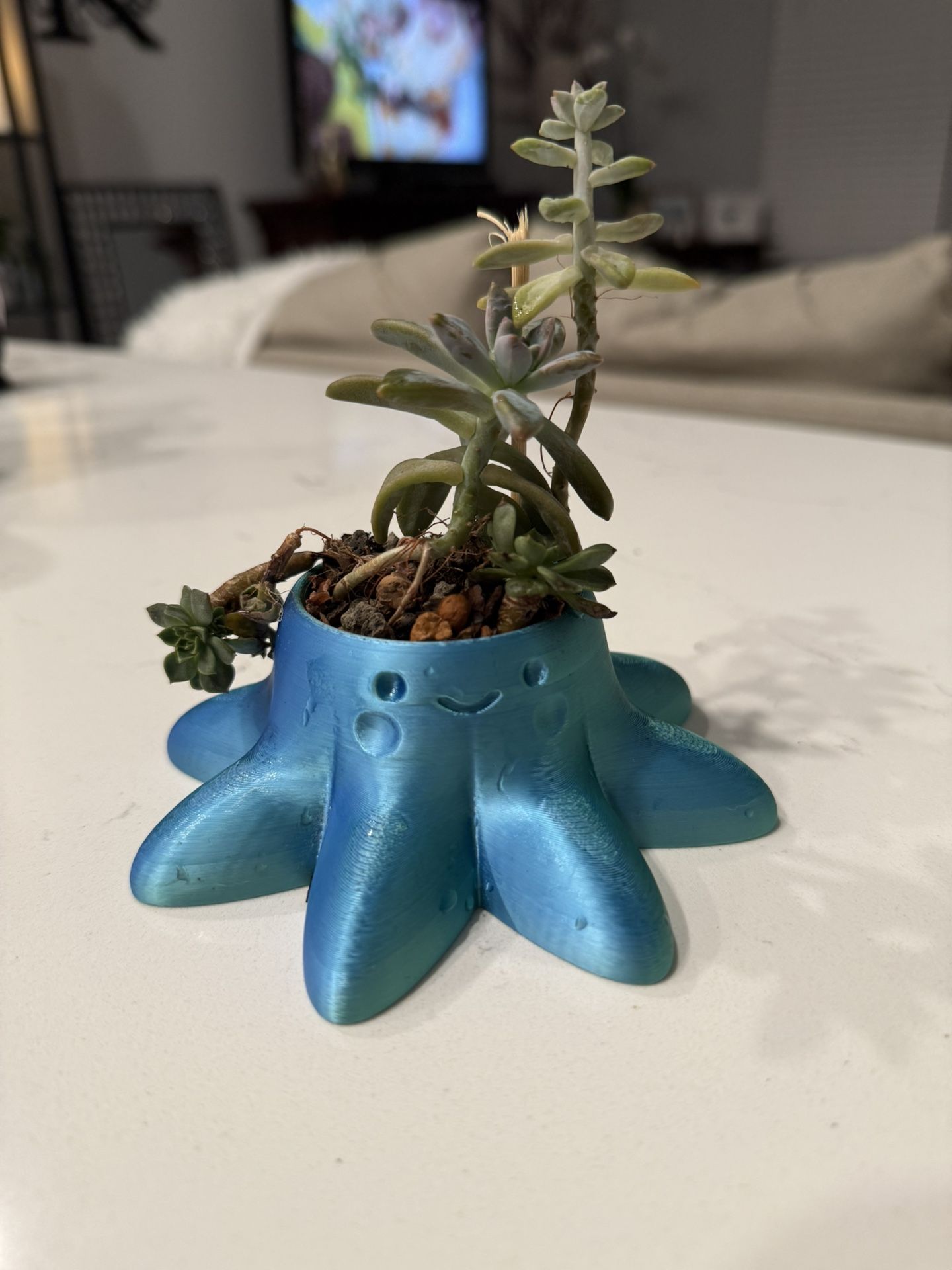 Planters With Succulents