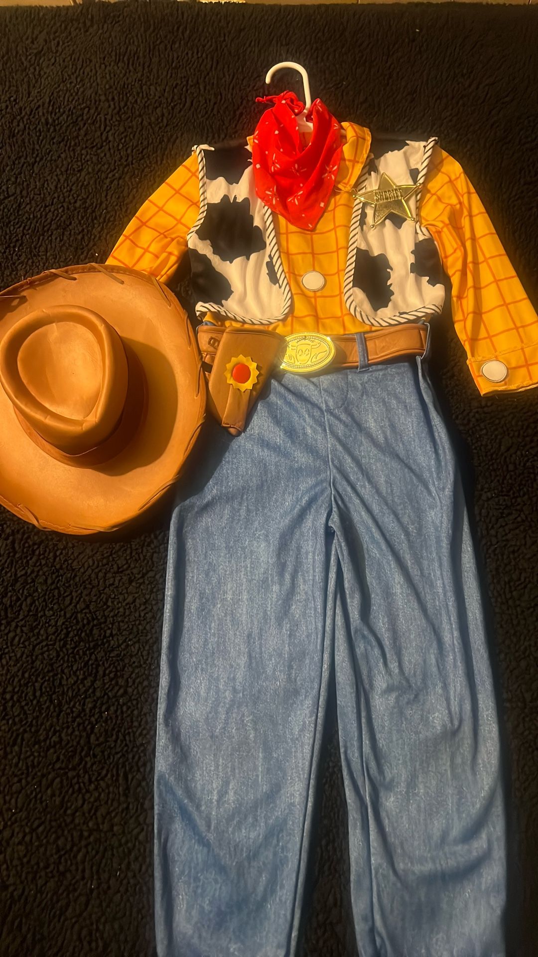 Woody Costume