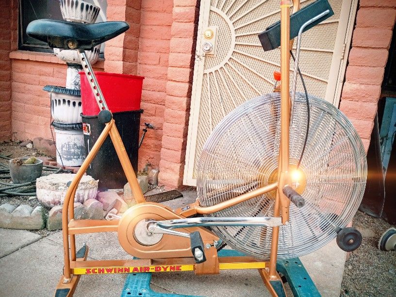 Schwinn Gold Air Dyne Exercise Bike 