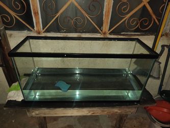 30 Gallon long Fish tank