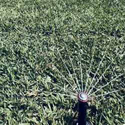 Rain Bird Sprinkler 