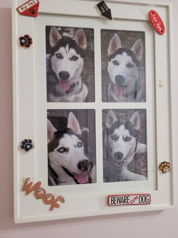 Dog Frame