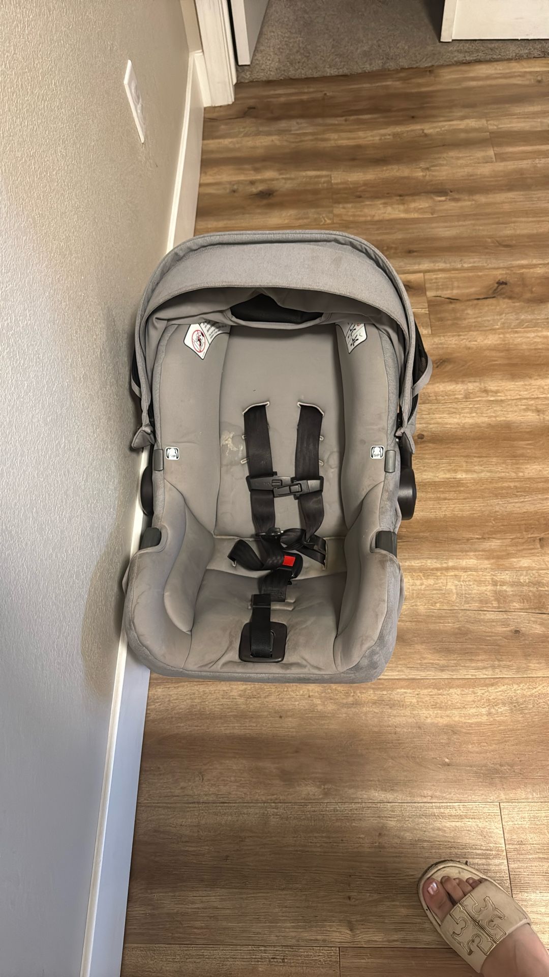 Nuna Car Seat
