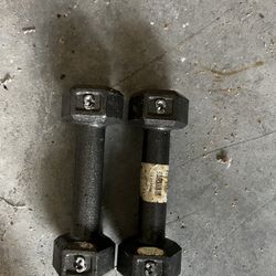 3lbs dumbbells.