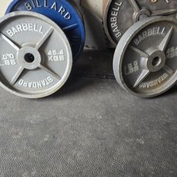 100lb Olympic Weights (Pair)