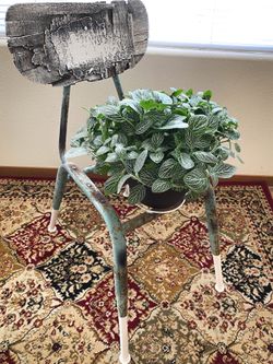 Vintage chair plant stand (PLANT NOT INCLUDED)
