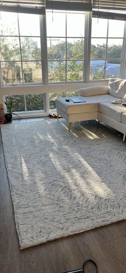Beautiful blue and beige area rug
