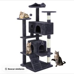 Cat House 