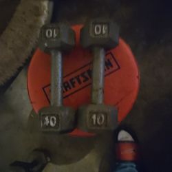 Dumbbells Weights