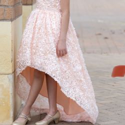 Beautiful Blush Dress 