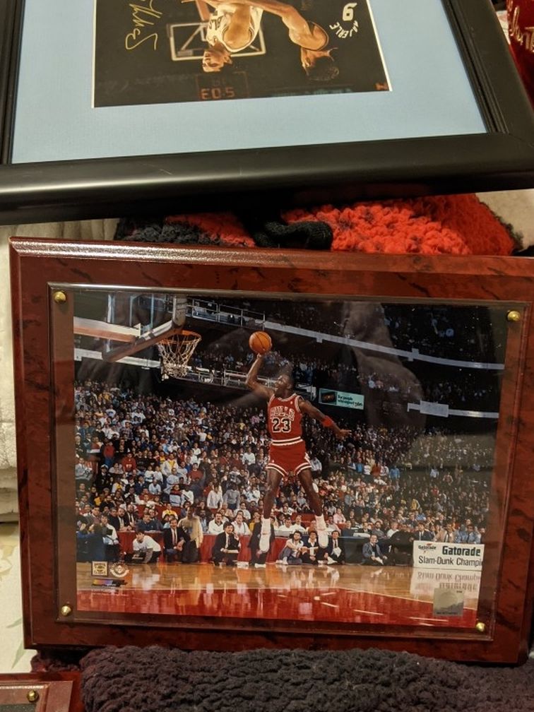 Chicago Bulls