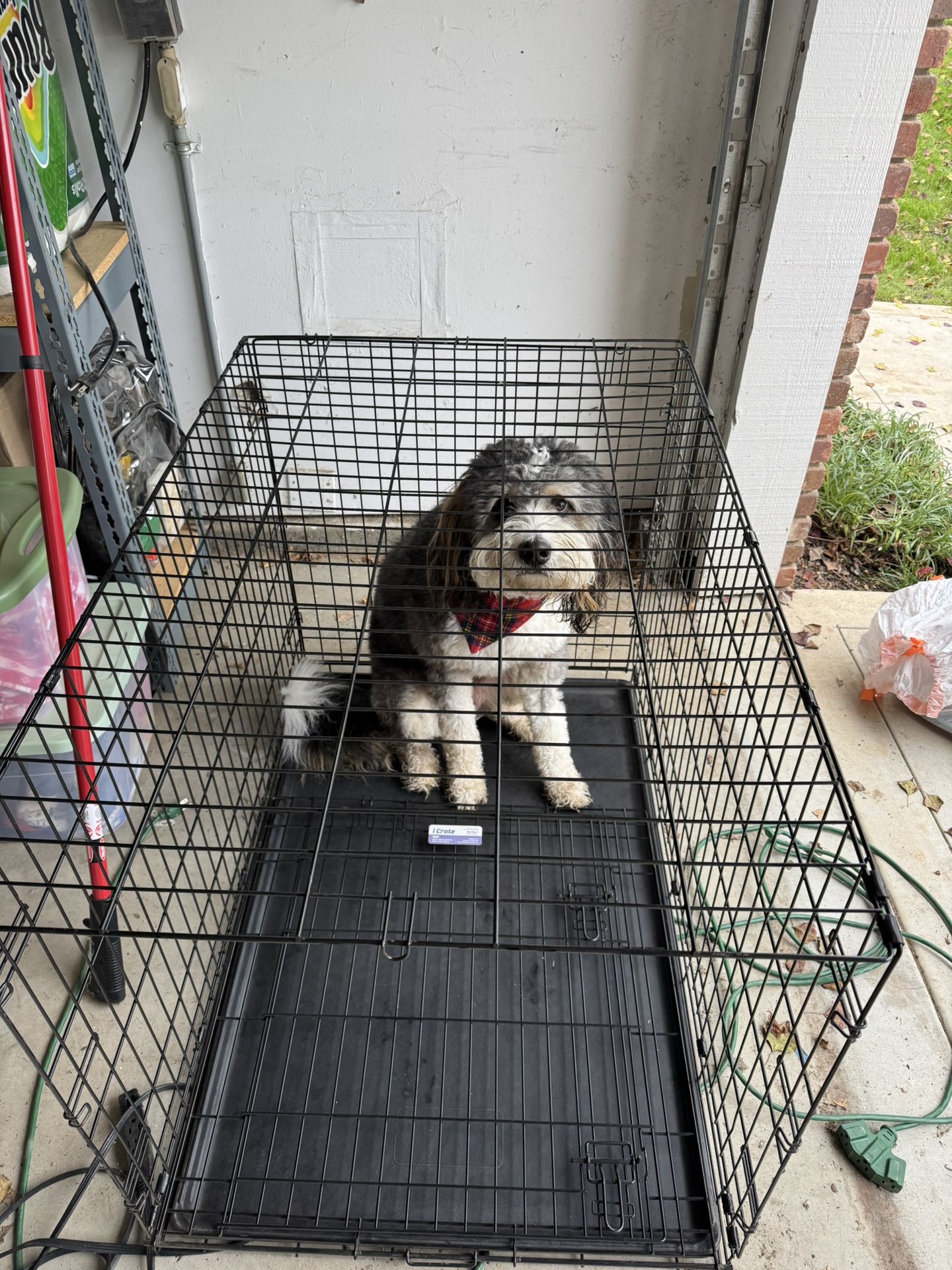 Dog Crate 