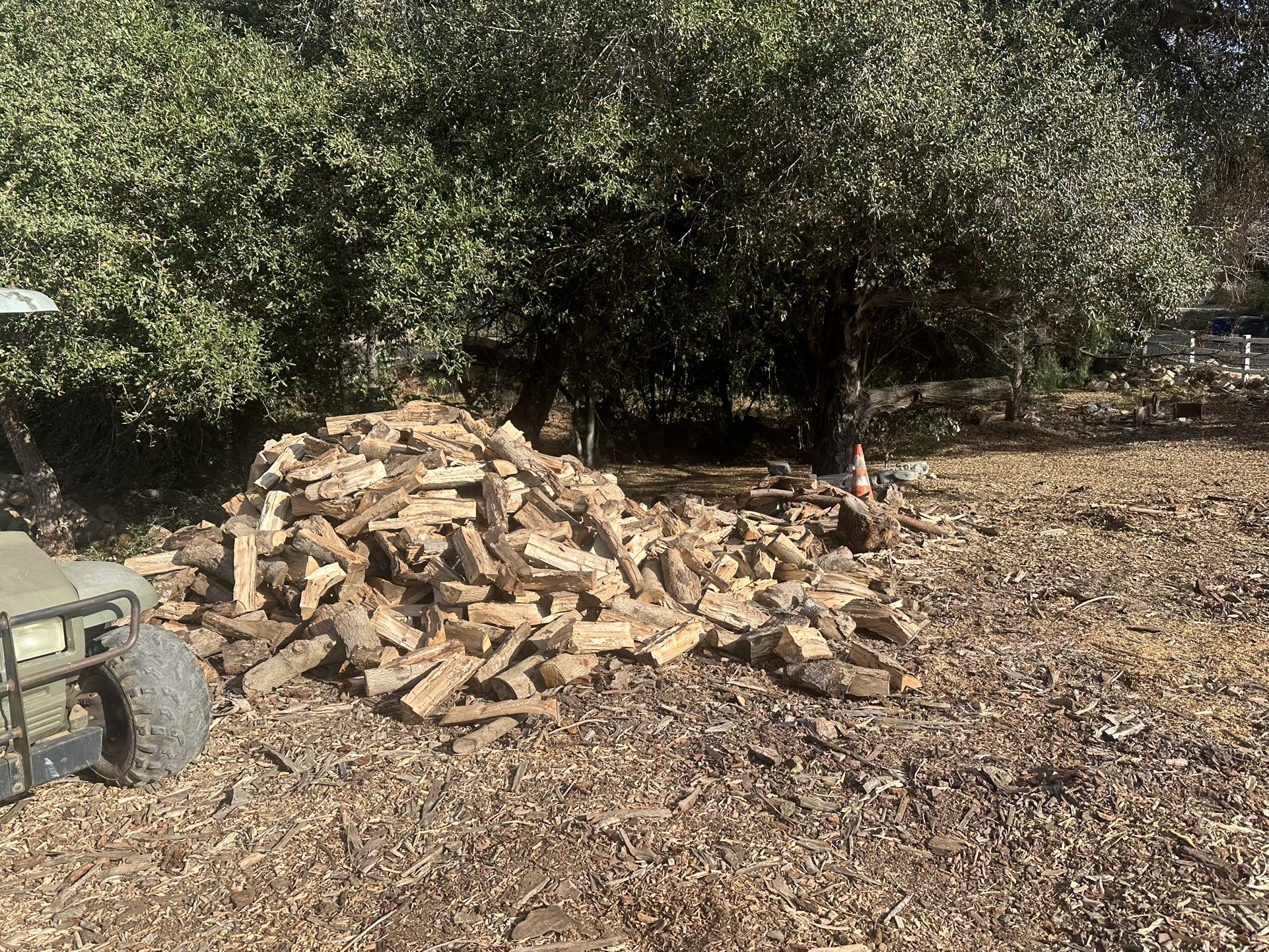 Firewood 
