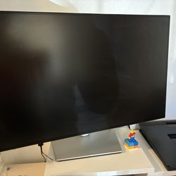 Dell Monitor 