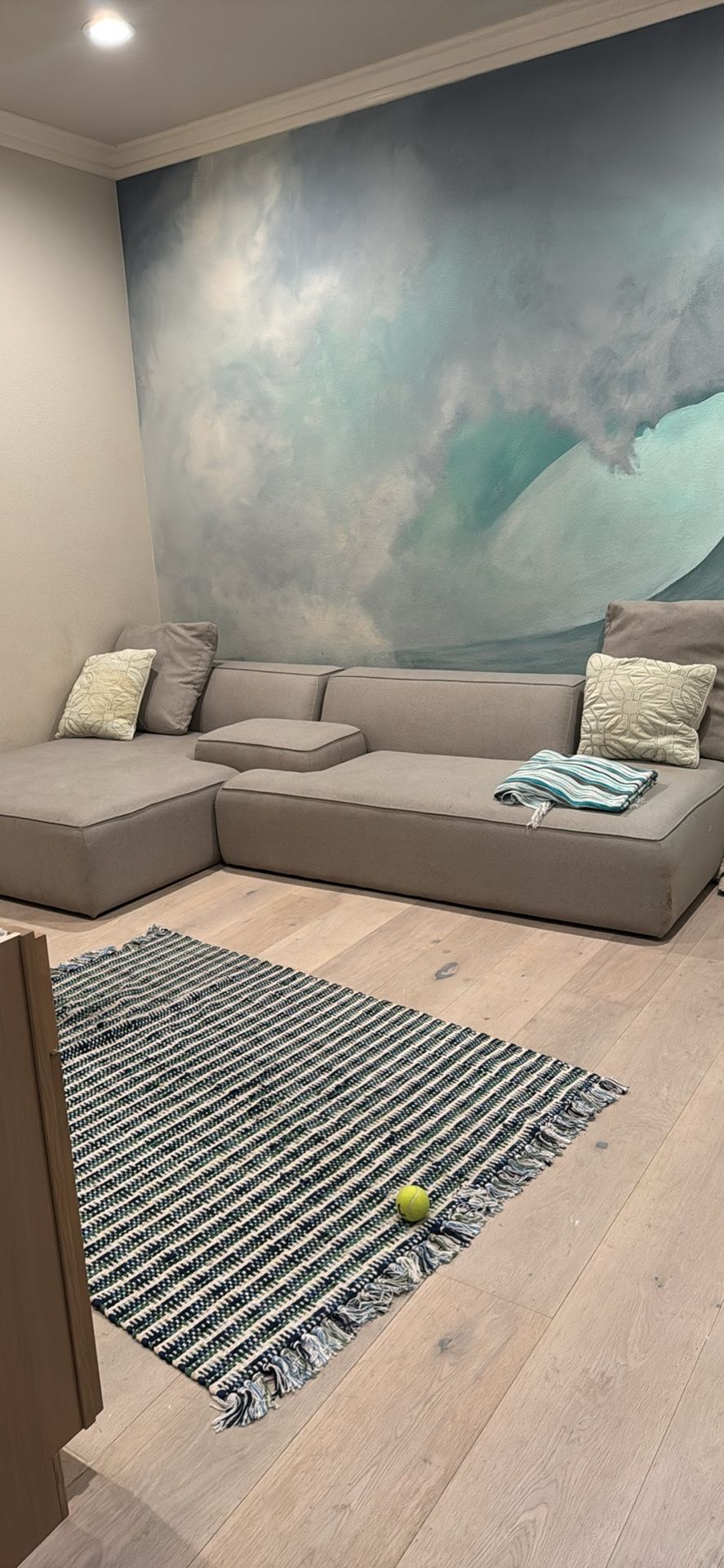  Grey Couch