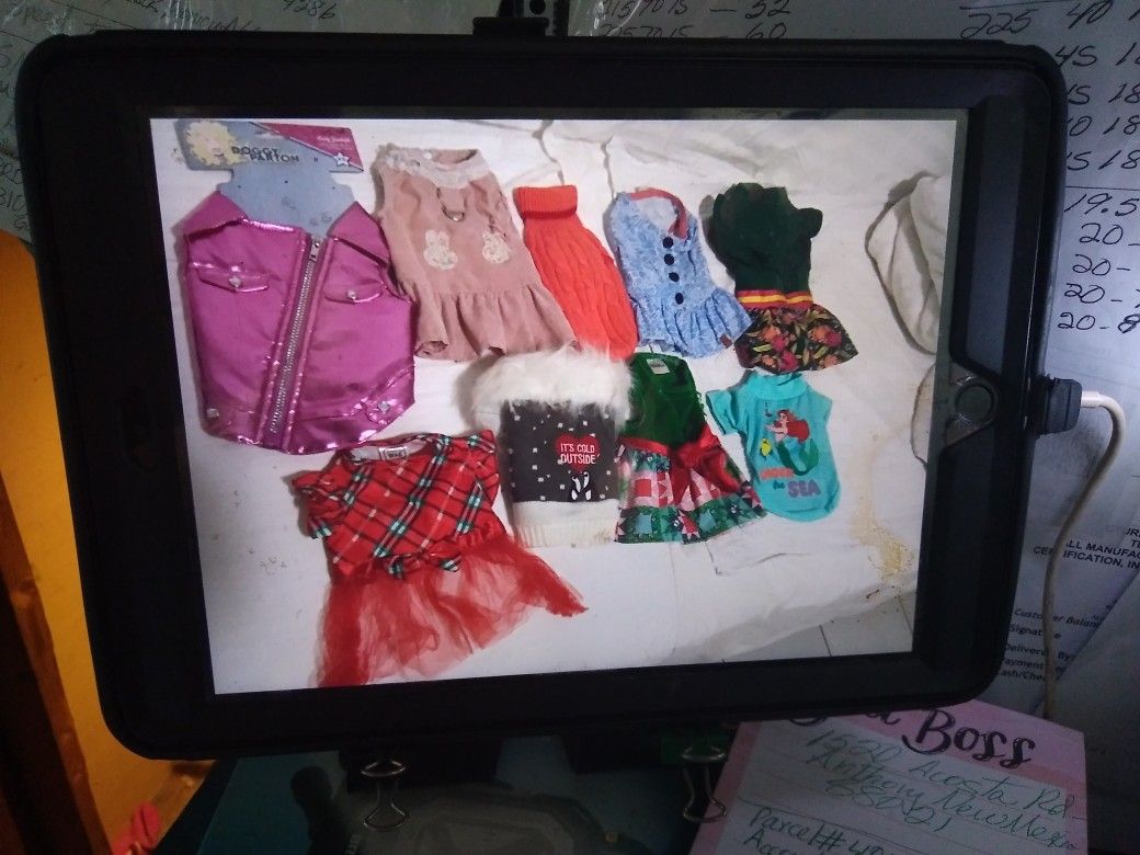 Dog Dreess, Jacket,sweter Each $3.00