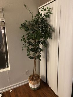 Big Fake Indoor Plant (7.5 Feet)