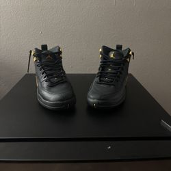 Air Jordan 12 Retro GS Black Taxi (Kids)