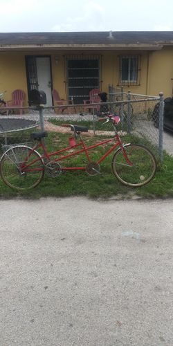 Vista Double Seater Bike