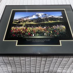 The Foundation of Service Picture