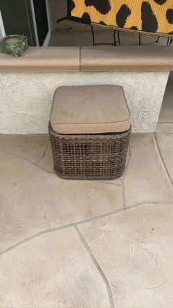 Hose or storage box with cushion
