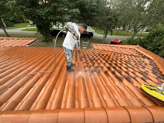 Paint / Pressure Washer 