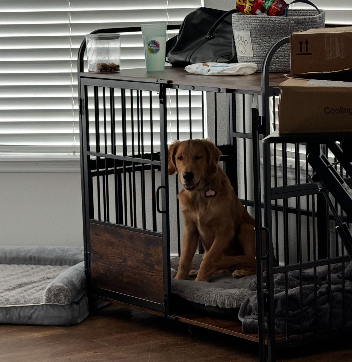 Large Dog Crate