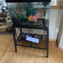 Fish Complete Setup!!