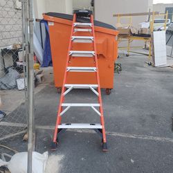 300 Lbs Fiberglass Ladder 