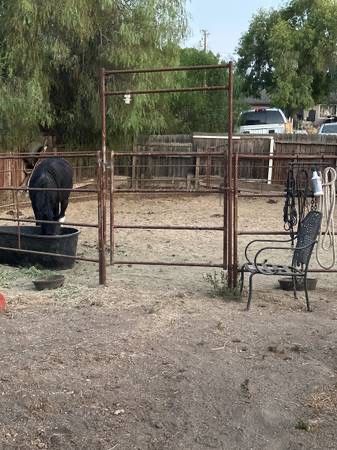 Round Pen / Horse Stall