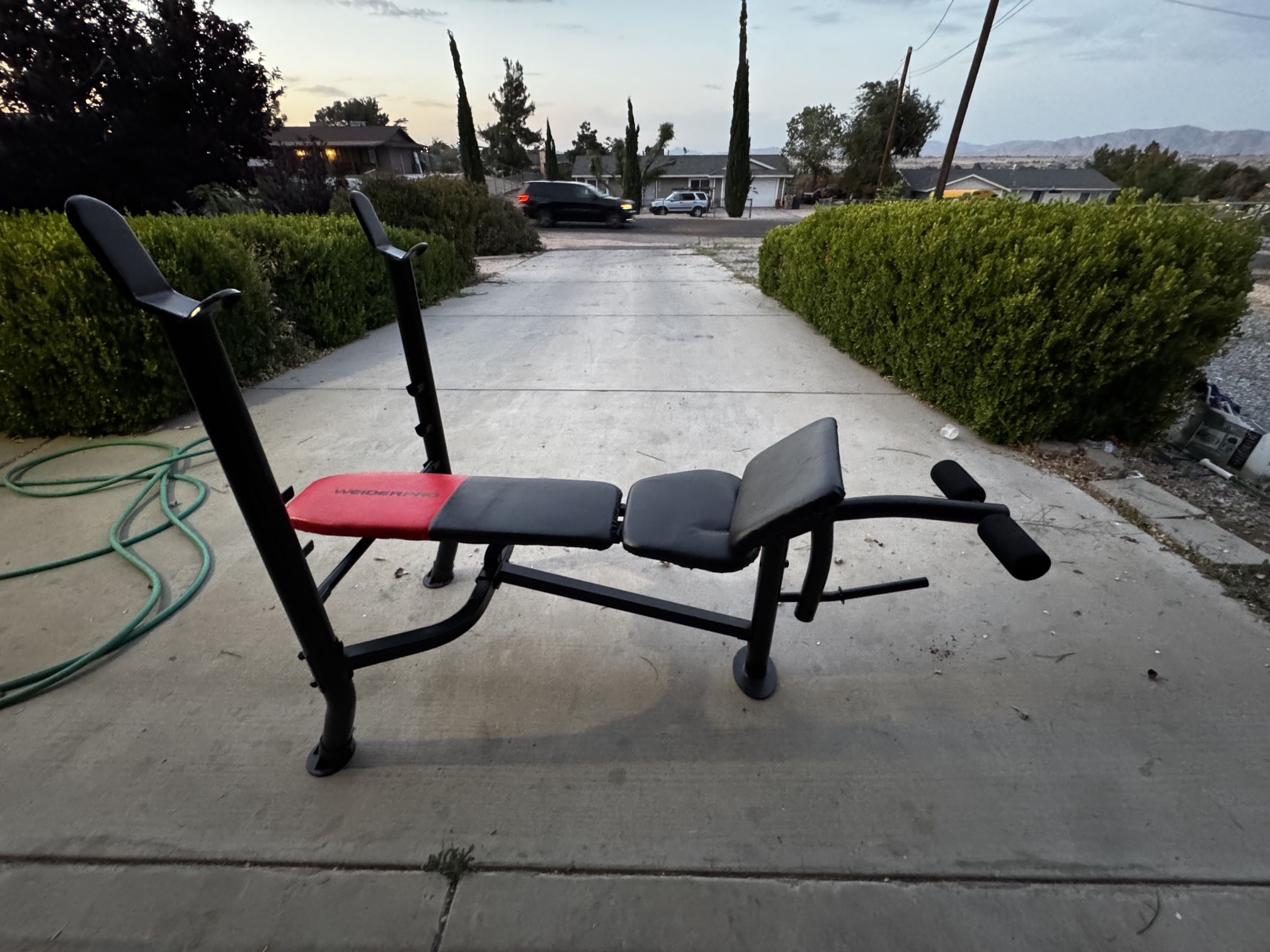 Weight Bench