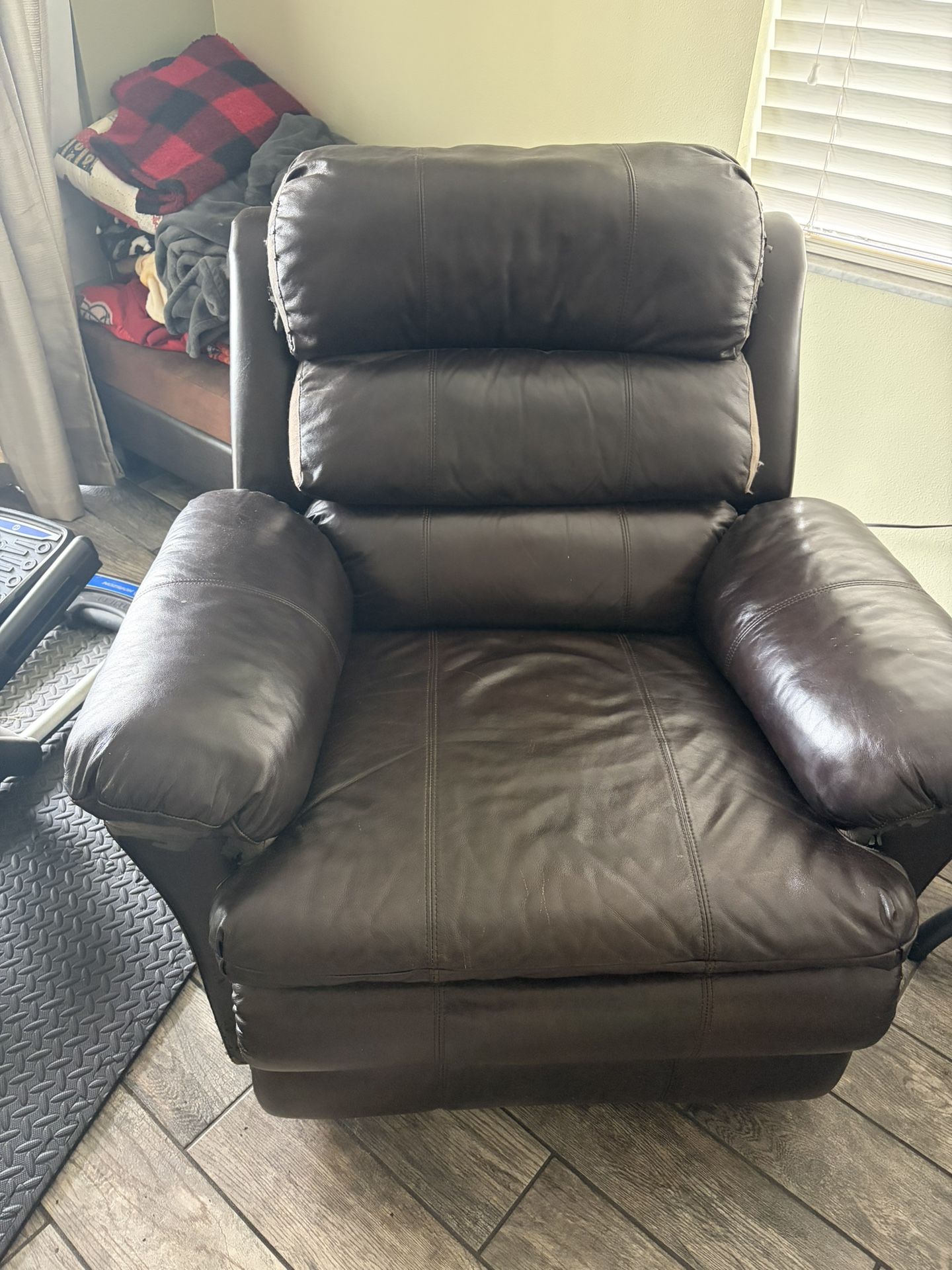 Free Reclining Leather Chair