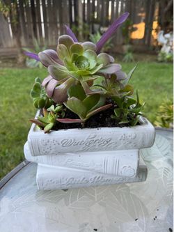Succulent book planter