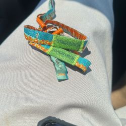 Stagecoach 