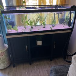 60 Gallon Long 