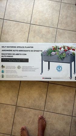 Self watering spruce planter