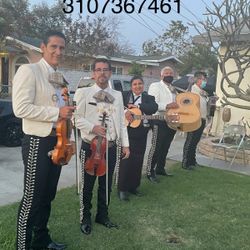 Violín Arpa Mariachi Vihuela 