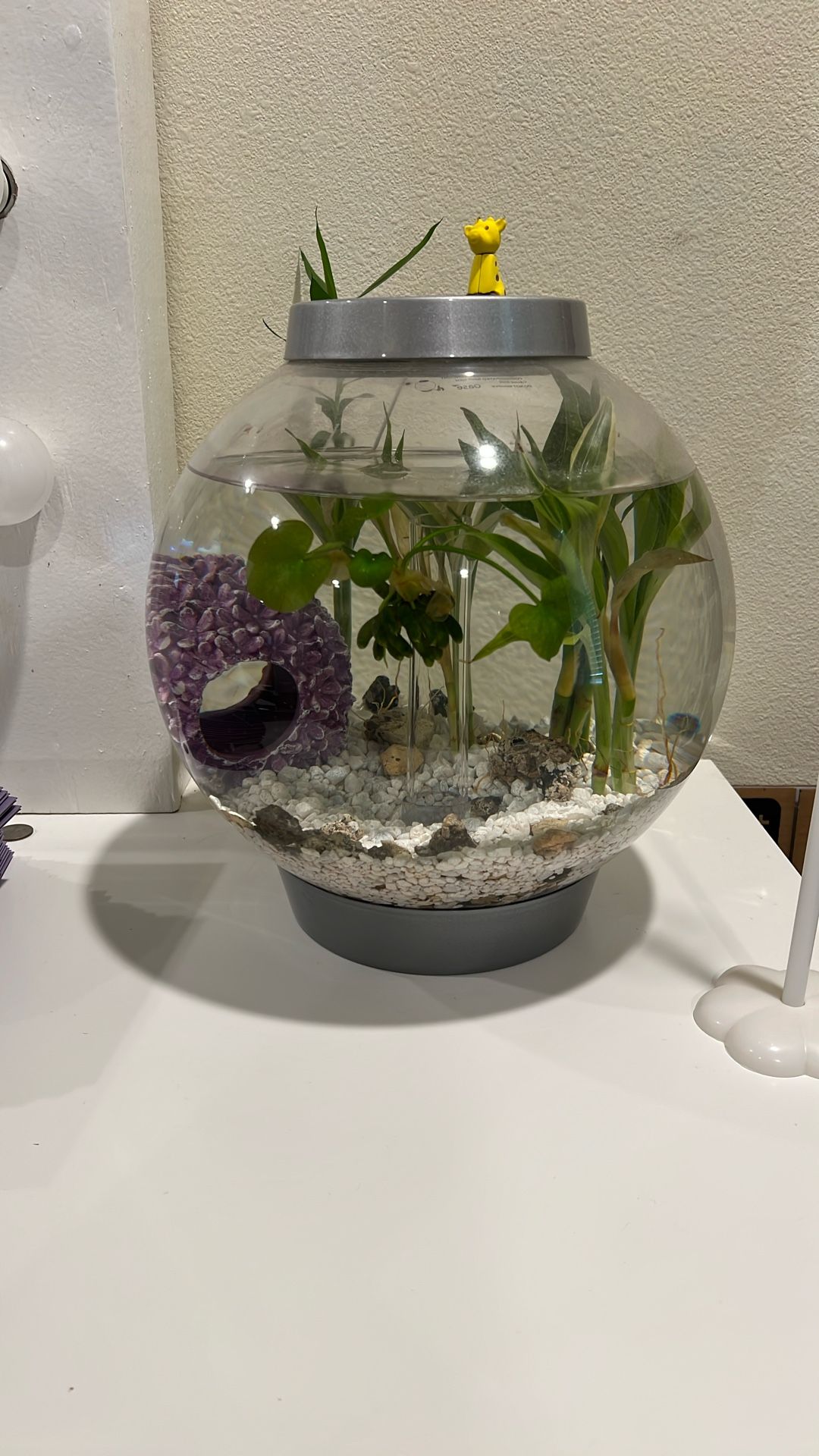 biOrb Classic 15 Acrylic 4-Gallon Aquarium with White LED Lights Modern Compact Tank for Tabletop or Desktop Display, Silver-Trimmed Tank