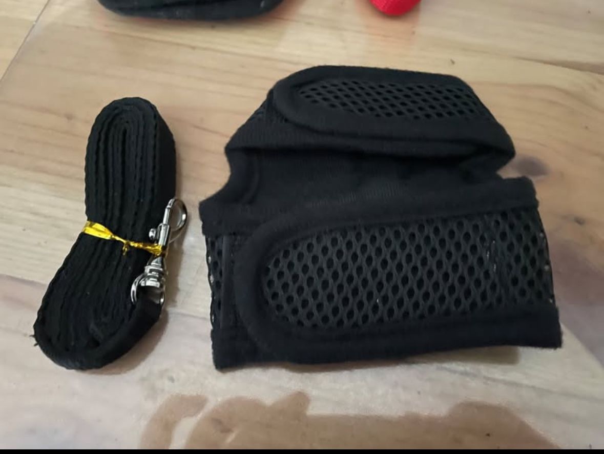 Guinea Pig Pet Harness And Leash Set