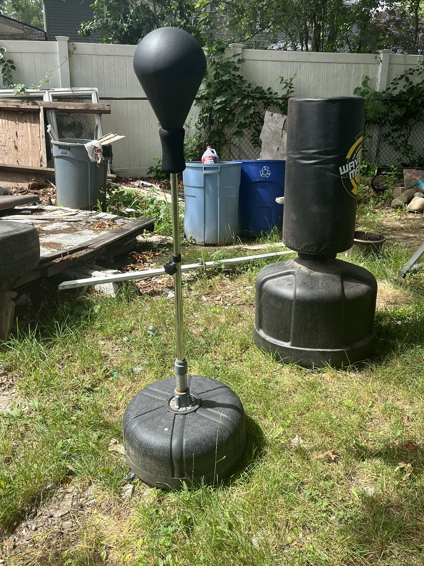 Speed Bag And Punching Bag
