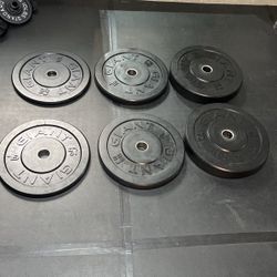 Giant Lifting Bumper Plates 260lbs