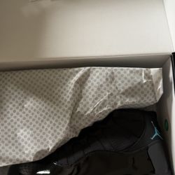 Jordan 11 Gamma Blue 