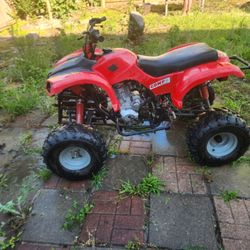 Taotao 250
