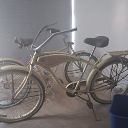 His And Hers  glide deluxe cruisers