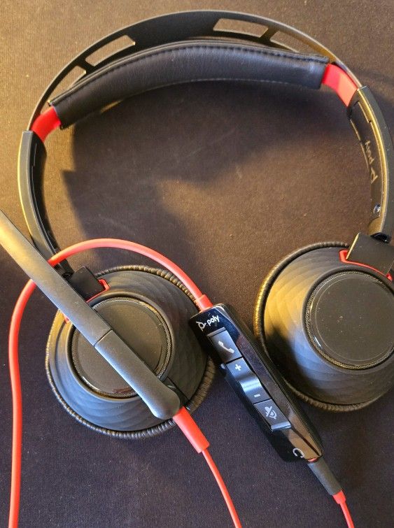 Poly Computer Headphones with Mic