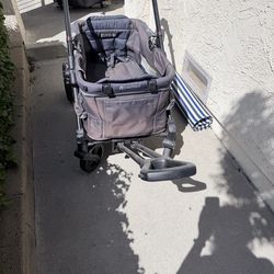 Baby Trend Expedition 2-in-1 Stroller Wagon (Grey/Black)