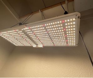 Spiderfarmer SF 2000 Grow Lightsx2