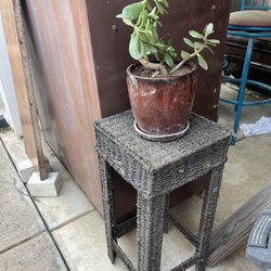 The Table And The Pot Of Jade Plant ( Long 11 Inch, 11 Inch, Hight 24 Inch 