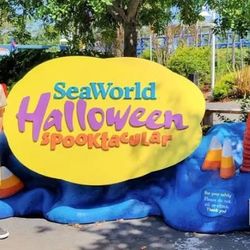 👻 Howl-O-Fun at SeaWorld! 🎠🎃